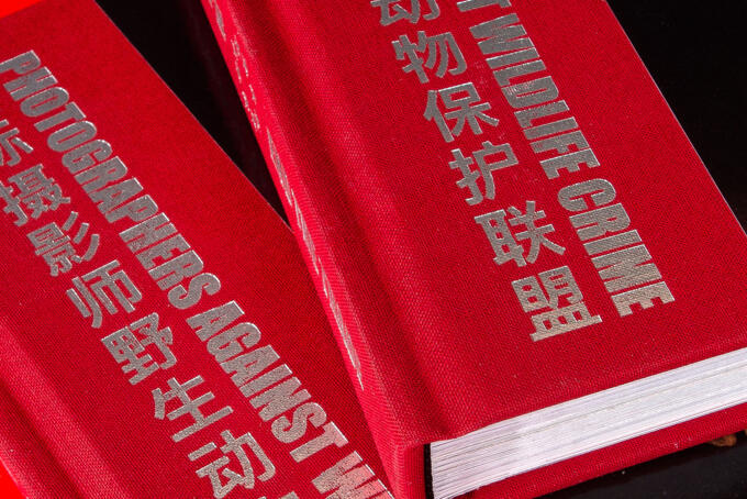 Heissfolienprägung in Silber