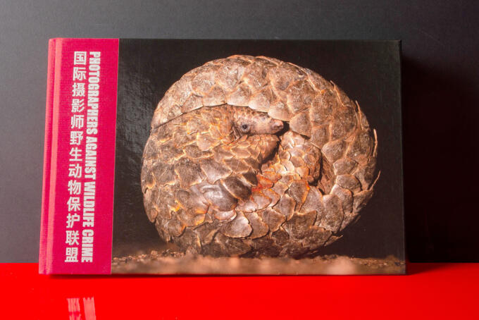 Buch mit Halbleinen und Cello glänzend