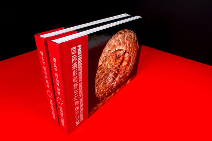 Halbleinen Buch mit Cello glänzend und Heißfolienprägung