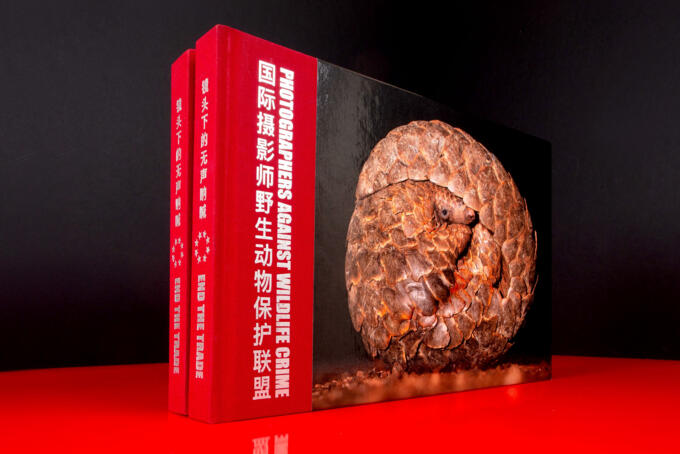 Heißfolienprägung von Schriften sehr fein