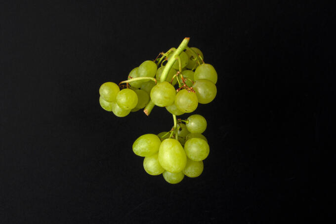 Weintrauben - sehr schön und gesund