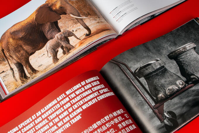 aufgeschlagenes Buch mit Fadenheftung