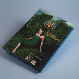 Farbschnitt mit Heißfolienprägung